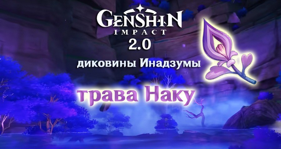 Трава наку в Genshin Impact где найти в Genshin Impact